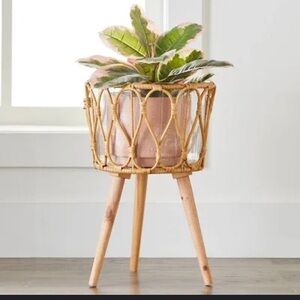 Pedestal‎ planter Homes and Gardens Dia Willow Sage woven home decor